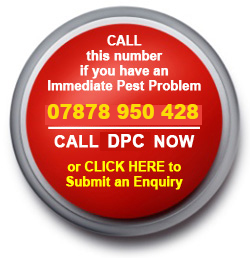 Emergency Pest Control - Click Here Now